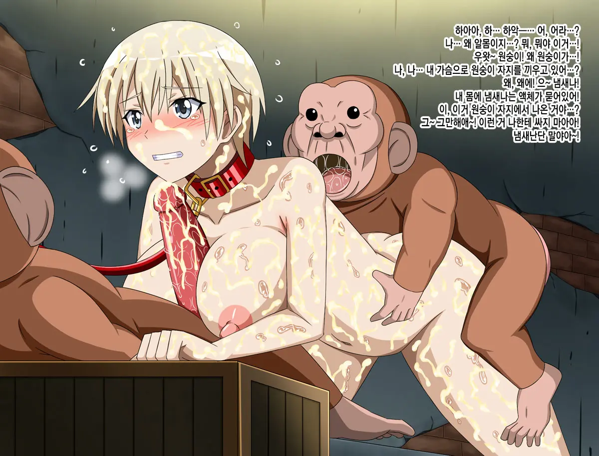 Super Hentai CG Shuu 15 Saru Ni Kawareru Mesu Dorei